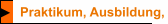 Praktikum, Ausbildung, Studium, Umschulung