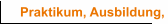 Praktikum, Ausbildung, Studium, Umschulung
